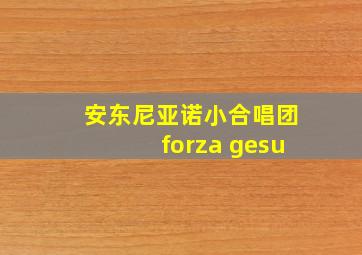 安东尼亚诺小合唱团forza gesu